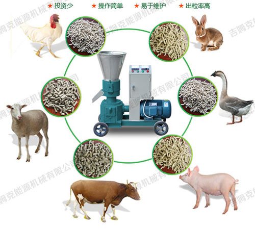 小型飼料顆粒機(jī)可壓制各種動(dòng)物顆粒飼料 屬多功能飼料顆粒機(jī)